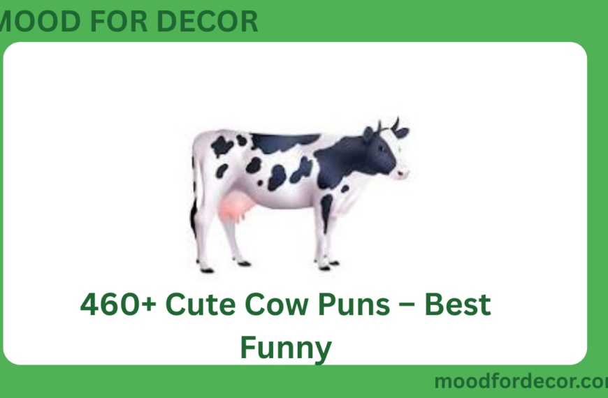 460+ Cute Cow Puns – Best Funny