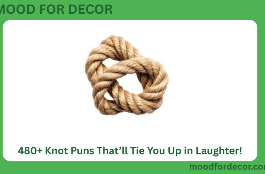 480+ Knot Puns That’ll Tie You Up in Laughter