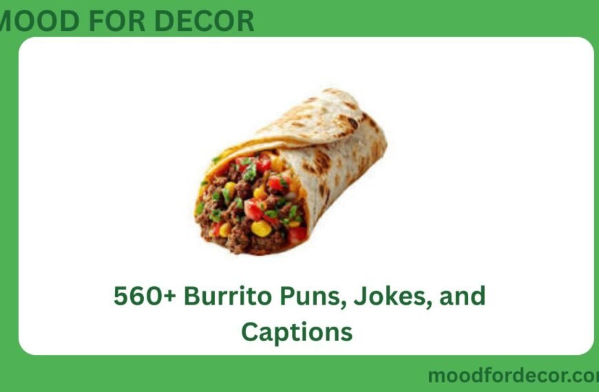 560+ Burrito Puns, Jokes, and Captions