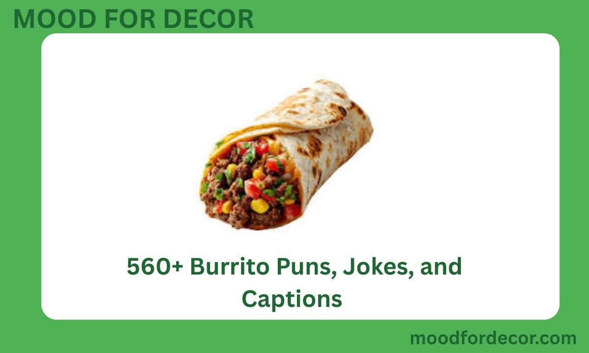 560+ Burrito Puns, Jokes, and Captions