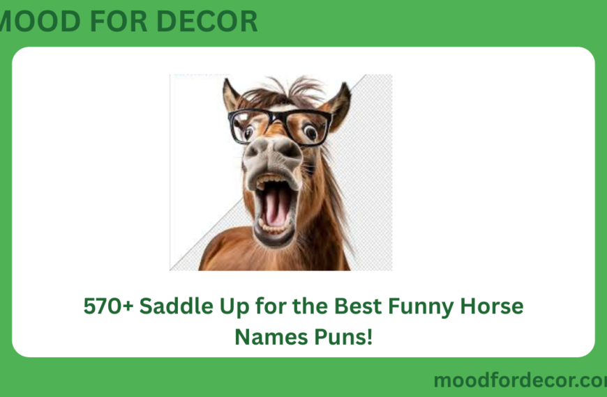 570+ Saddle Up for the Best Funny Horse Names Puns!