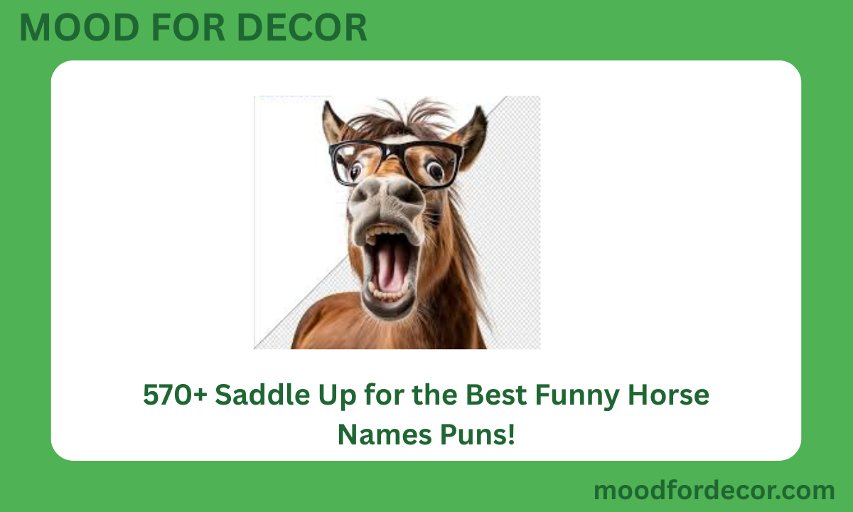 570+ Saddle Up for the Best Funny Horse Names Puns!
