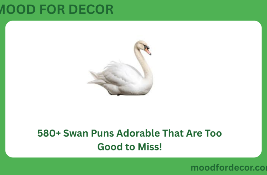 580+ Swan Puns Adorable That Are Too Good to Miss!