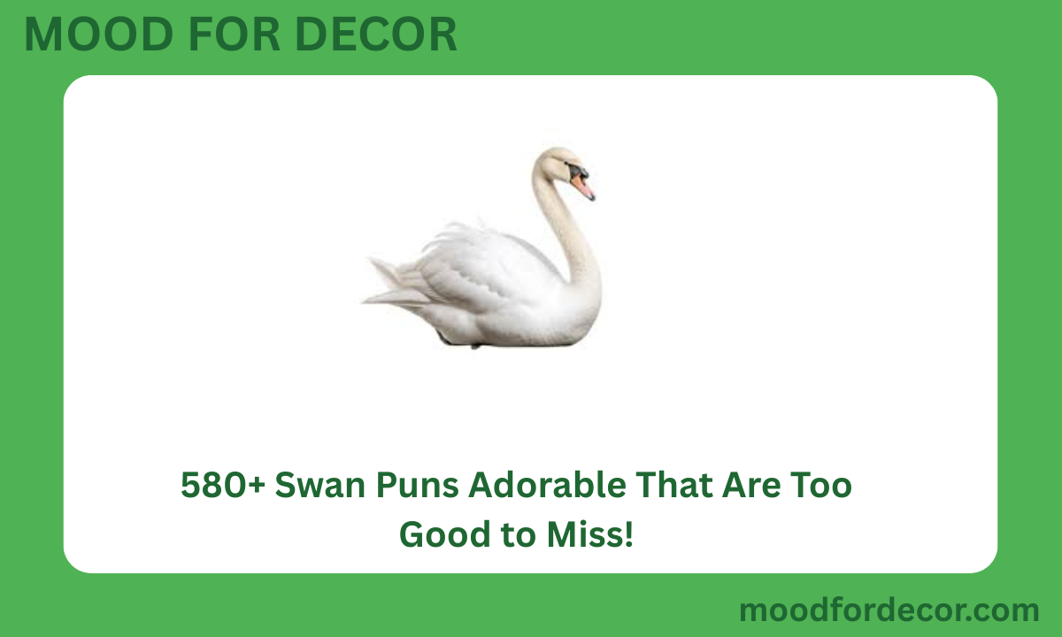 580+ Swan Puns Adorable That Are Too Good to Miss!