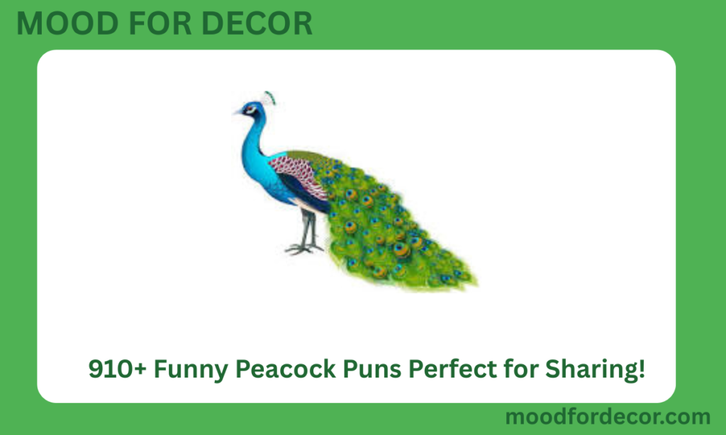 910+ Funny Peacock Puns Perfect for Sharing