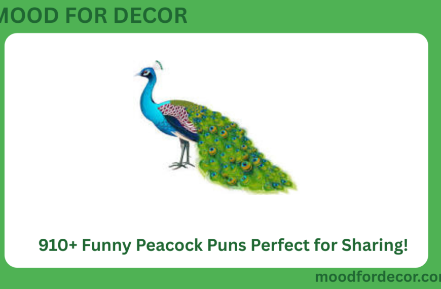 910+ Funny Peacock Puns Perfect for Sharing