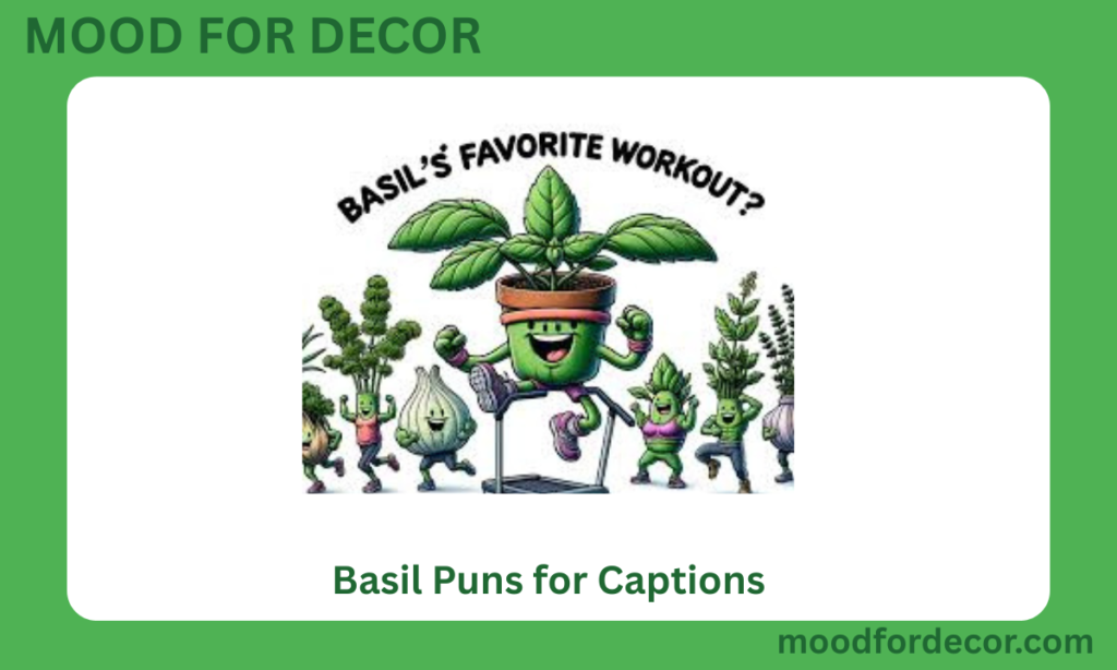 Basil Puns for CaptionS