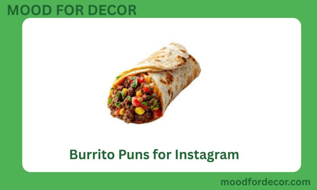 Burrito Puns for Instagram