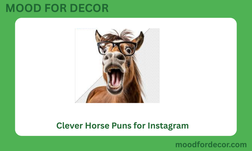 Clever Horse Puns for Instagram