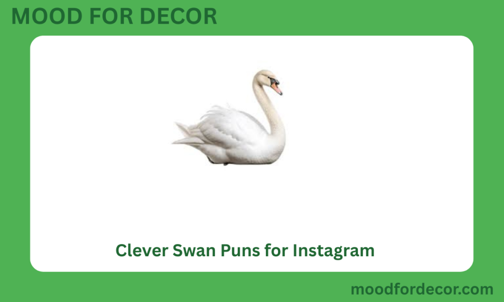 Clever Swan Puns for Instagram