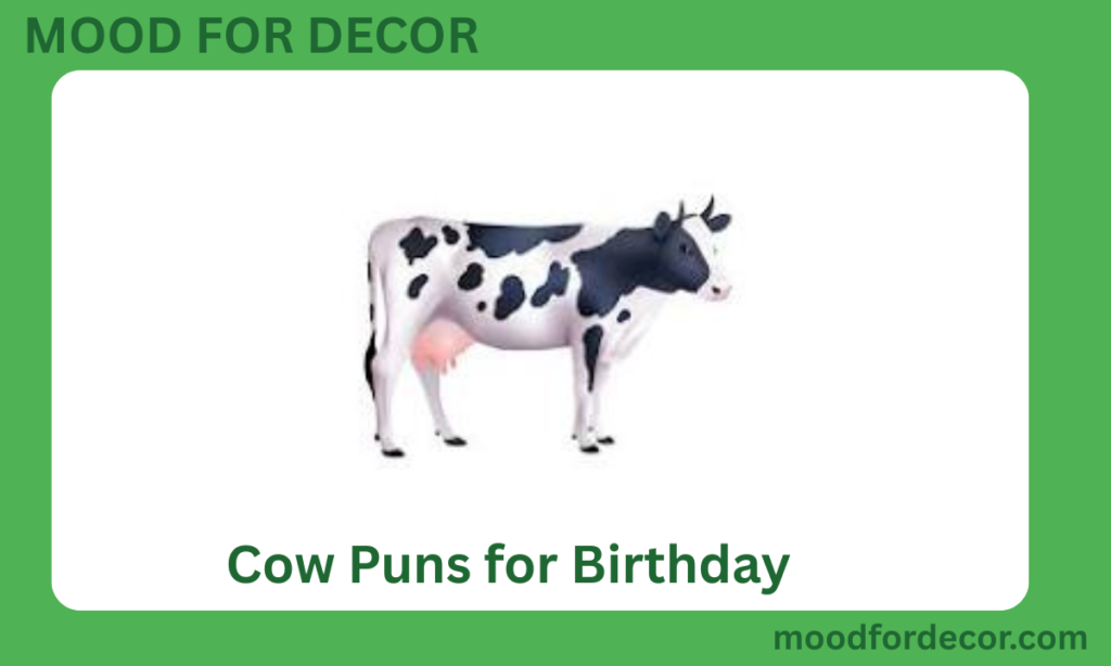 Cow Puns for Birthday