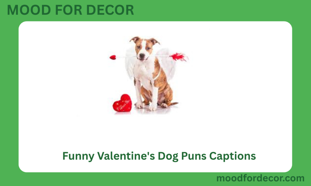 Funny Valentine's Dog Puns Captions