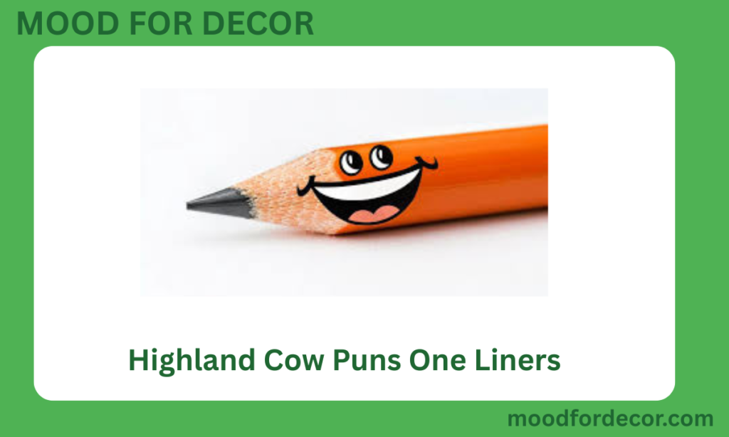 Highland Cow Puns One Liners