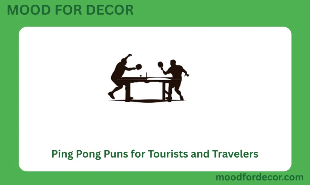 Ping Pong Puns for Tourists and Travelers