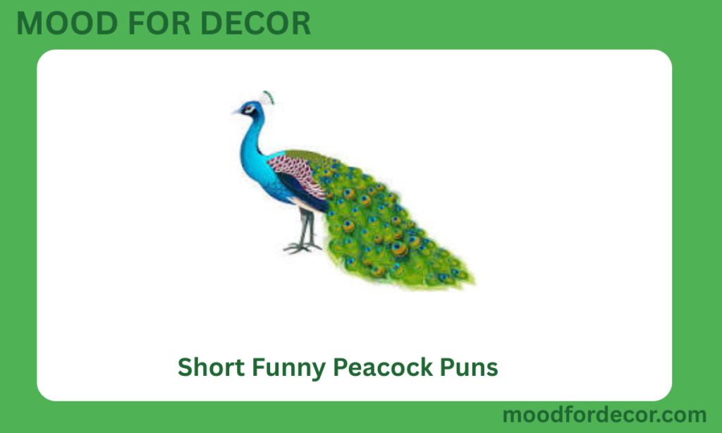Short Funny Peacock Puns