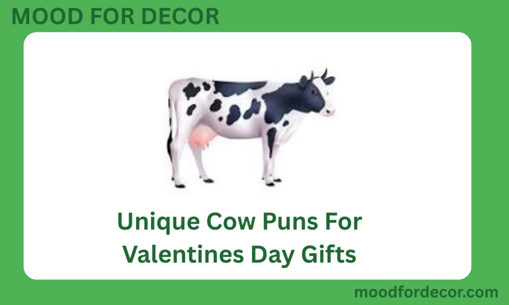 Unique Cow Puns For Valentines Day Gifts