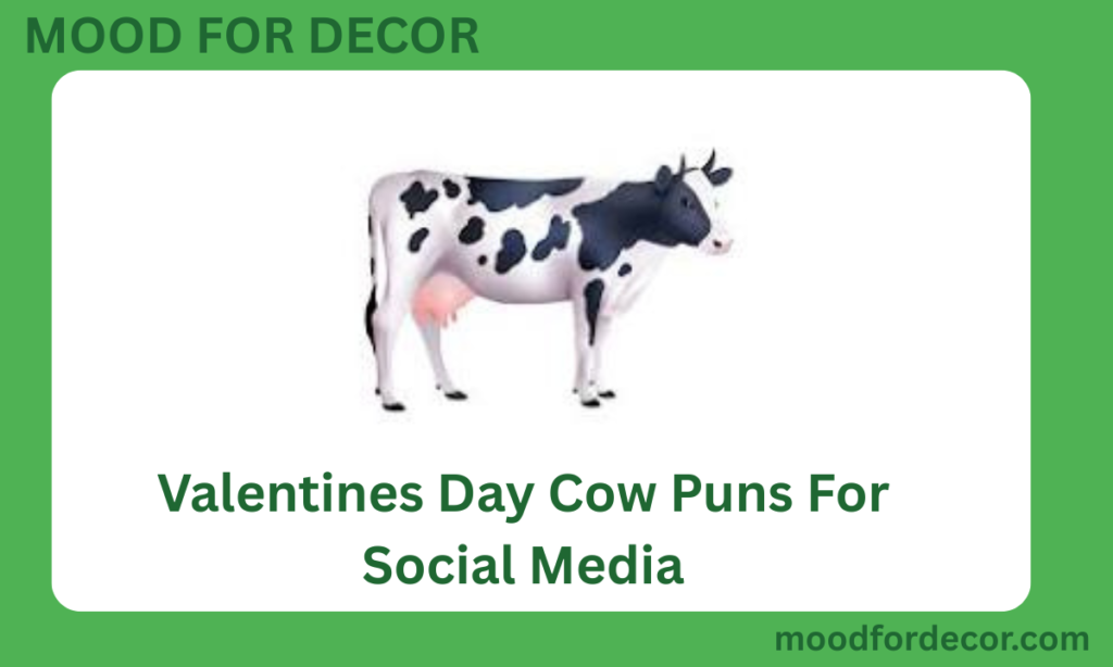 Valentines Day Cow Puns For Social Media