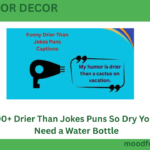 200+ Drier Than Jokes Puns So Dry You’ll Need a Water Bottle