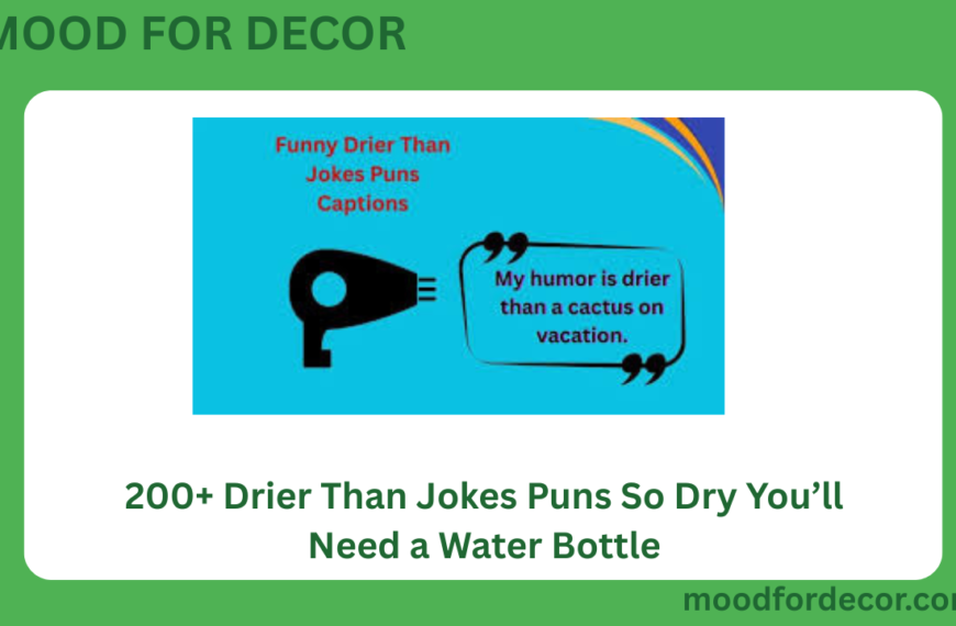 200+ Drier Than Jokes Puns So Dry You’ll Need a Water Bottle