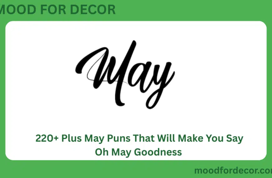 220+ Plus May Puns That Will Make You Say Oh May Goodness