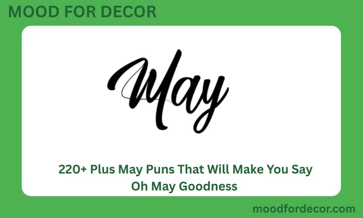 220+ Plus May Puns That Will Make You Say Oh May Goodness