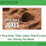 301+ Plus Drier Than Jokes That’ll Leave You Thirsty For More