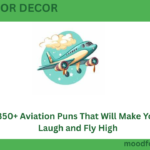 350+ Aviation Puns That Will Make You Laugh and Fly High