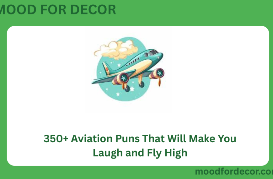 350+ Aviation Puns That Will Make You Laugh and Fly High