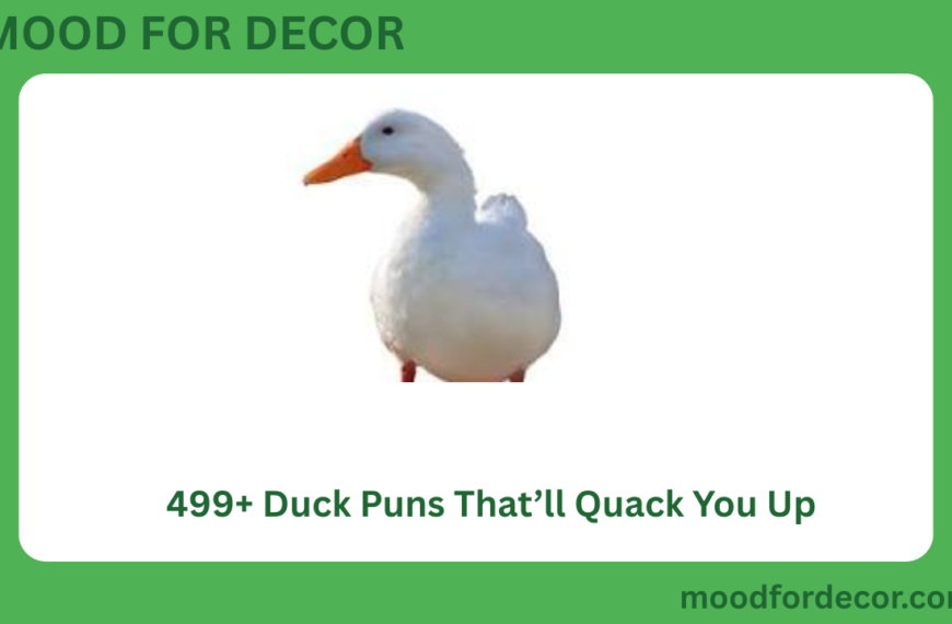 499+ Duck Puns That’ll Quack You UP