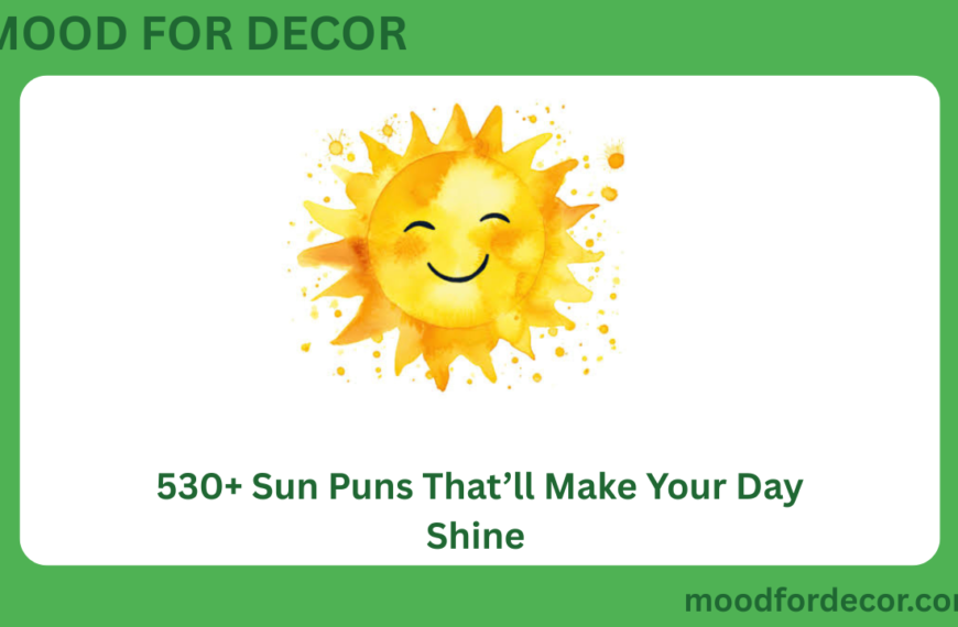 530+ Sun Puns That’ll Make Your Day Shine