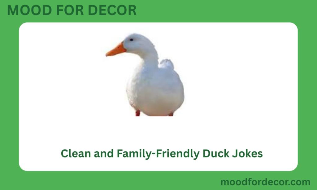 Clean and Family-Friendly Duck Jokes