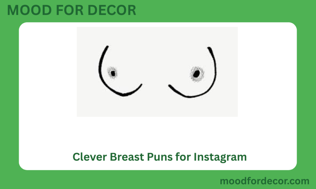 Clever Breast Puns for Instagram