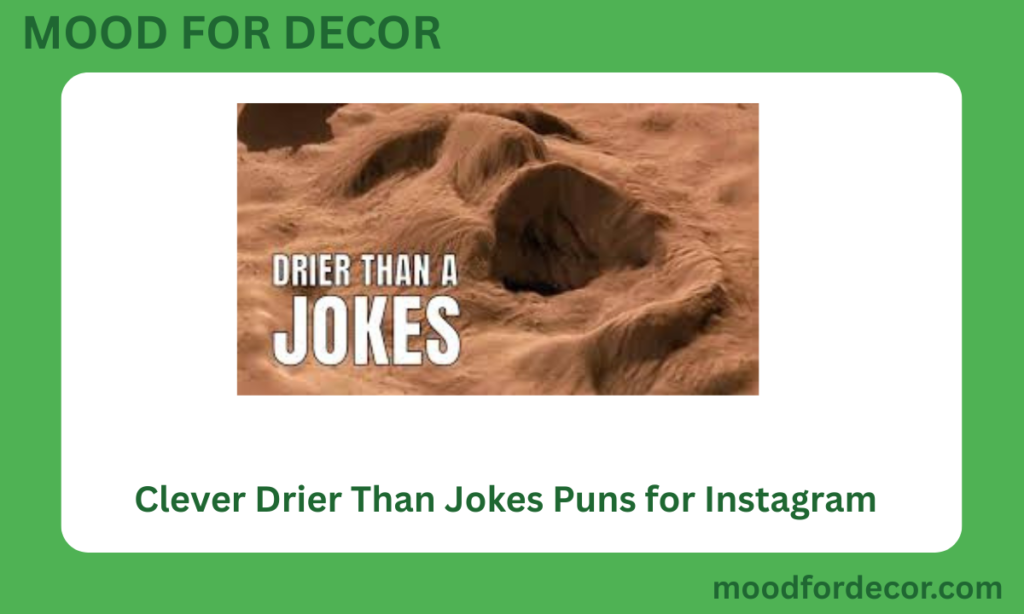 Clever Drier Than Jokes Puns for Instagram
