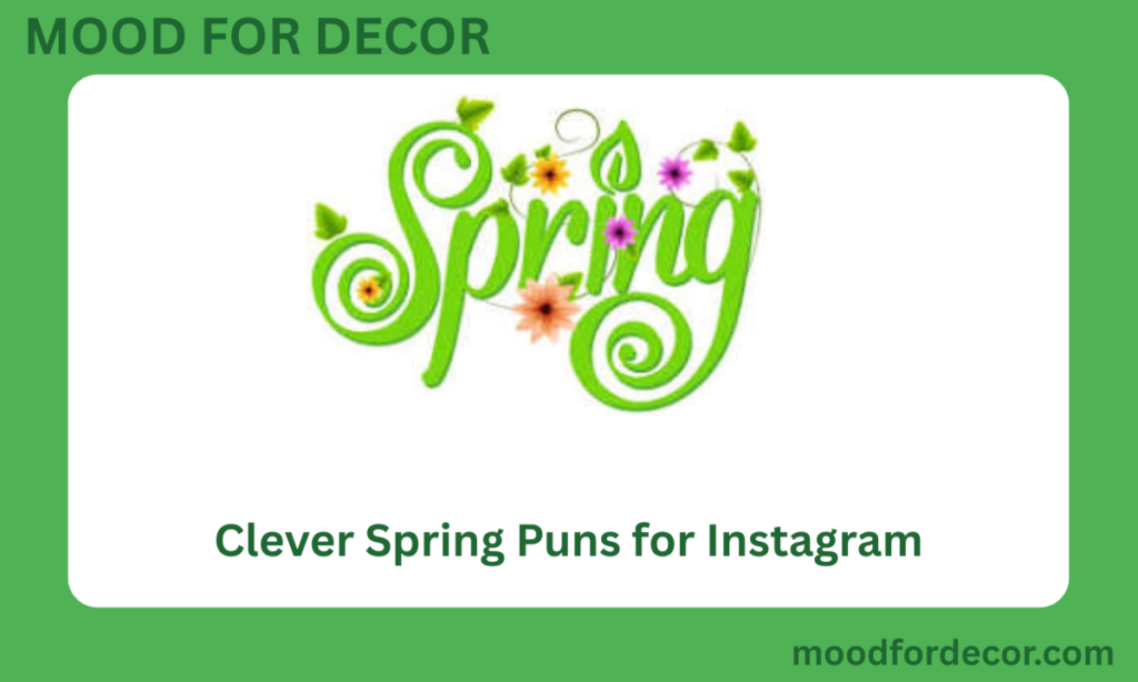 Clever Spring Puns for Instagram