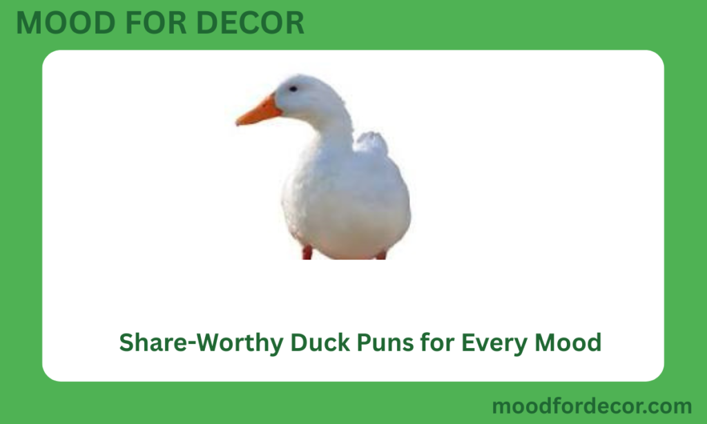 Share-Worthy Duck Puns for Every Mood
