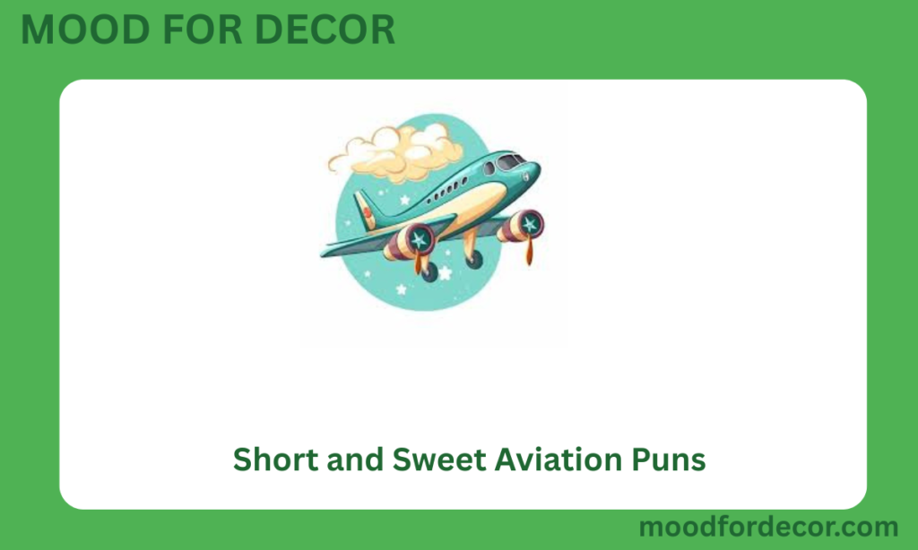 Short and Sweet Aviation Puns