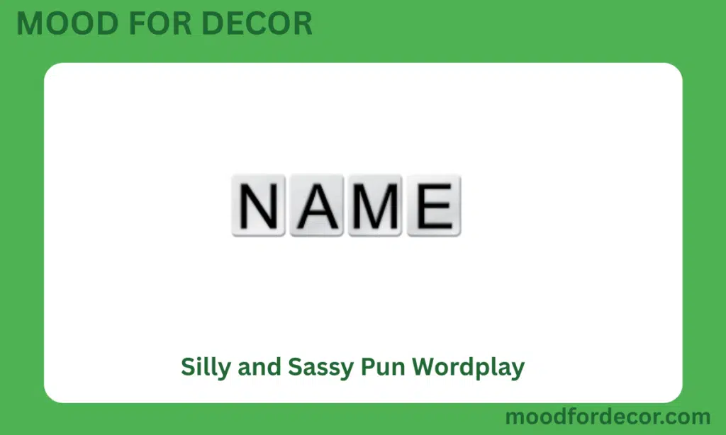 Silly and Sassy Pun Wordplay